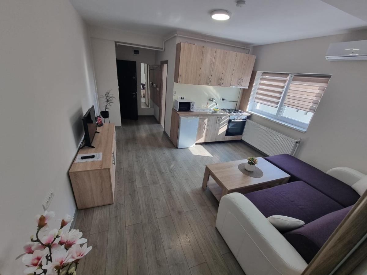 City Premium Apartments Timisoara Luaran gambar
