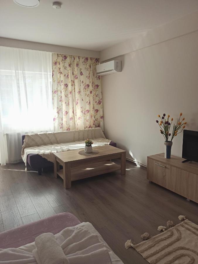 City Premium Apartments Timisoara Luaran gambar